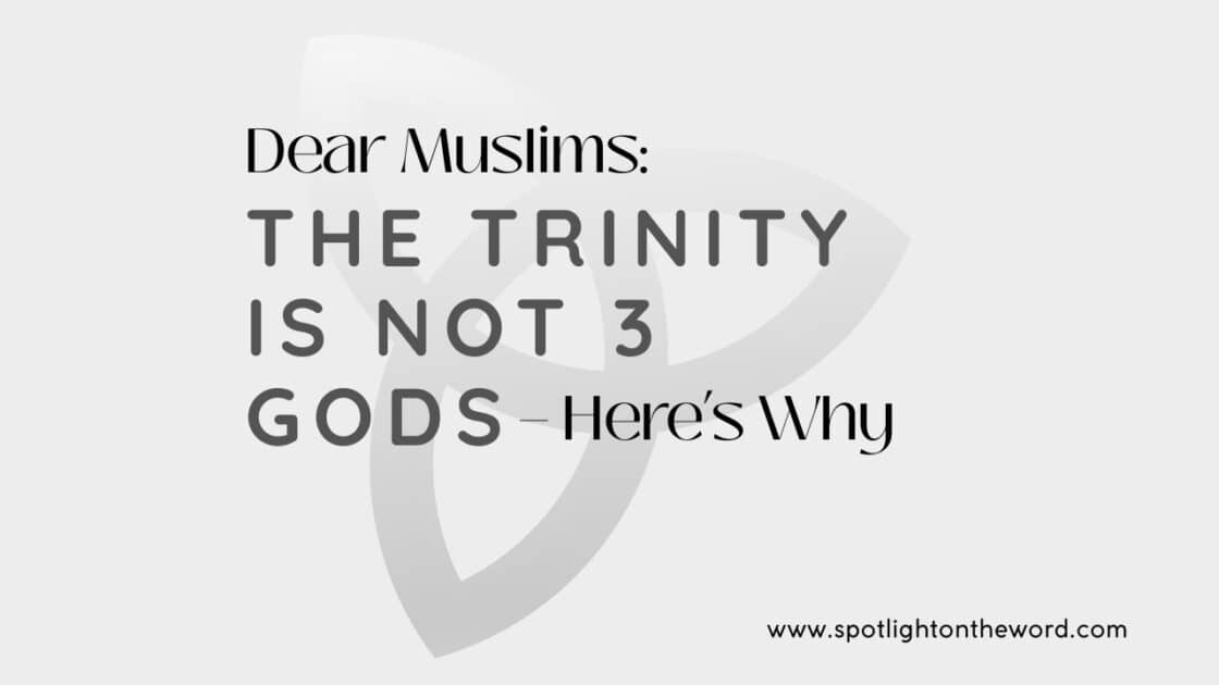 website thumbnails (4)